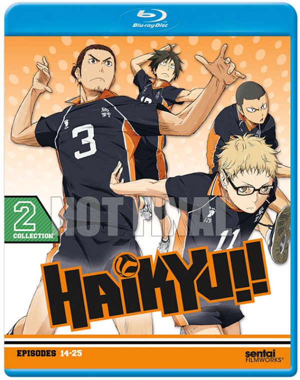 Haikyu Part 2 Not Final BD