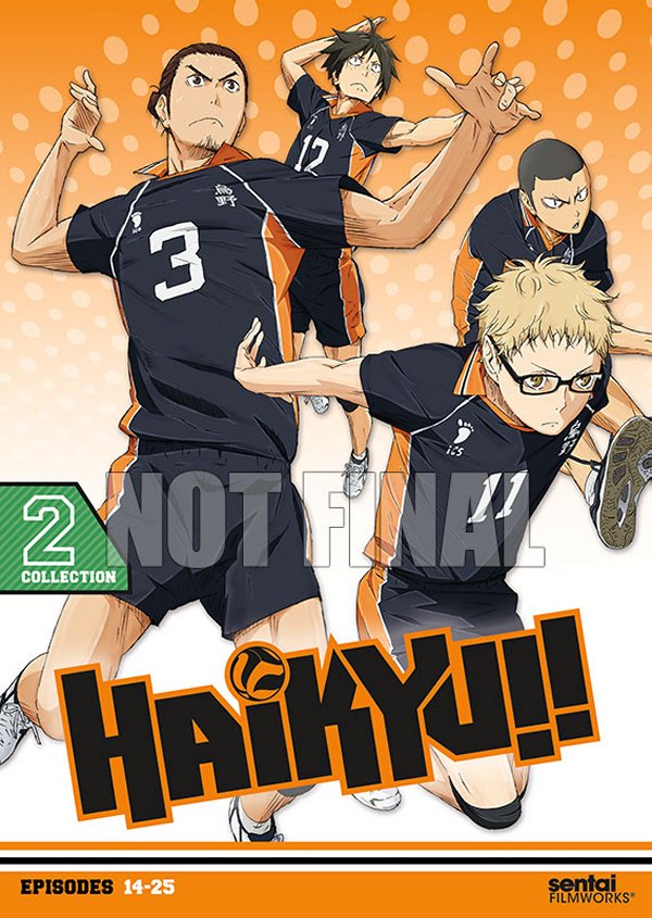 Haikyu Part 2 Not Final DVD