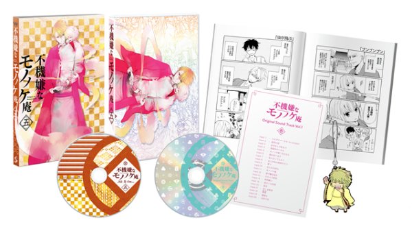 Morose Mononokean Japanese Volume 5 Packaging